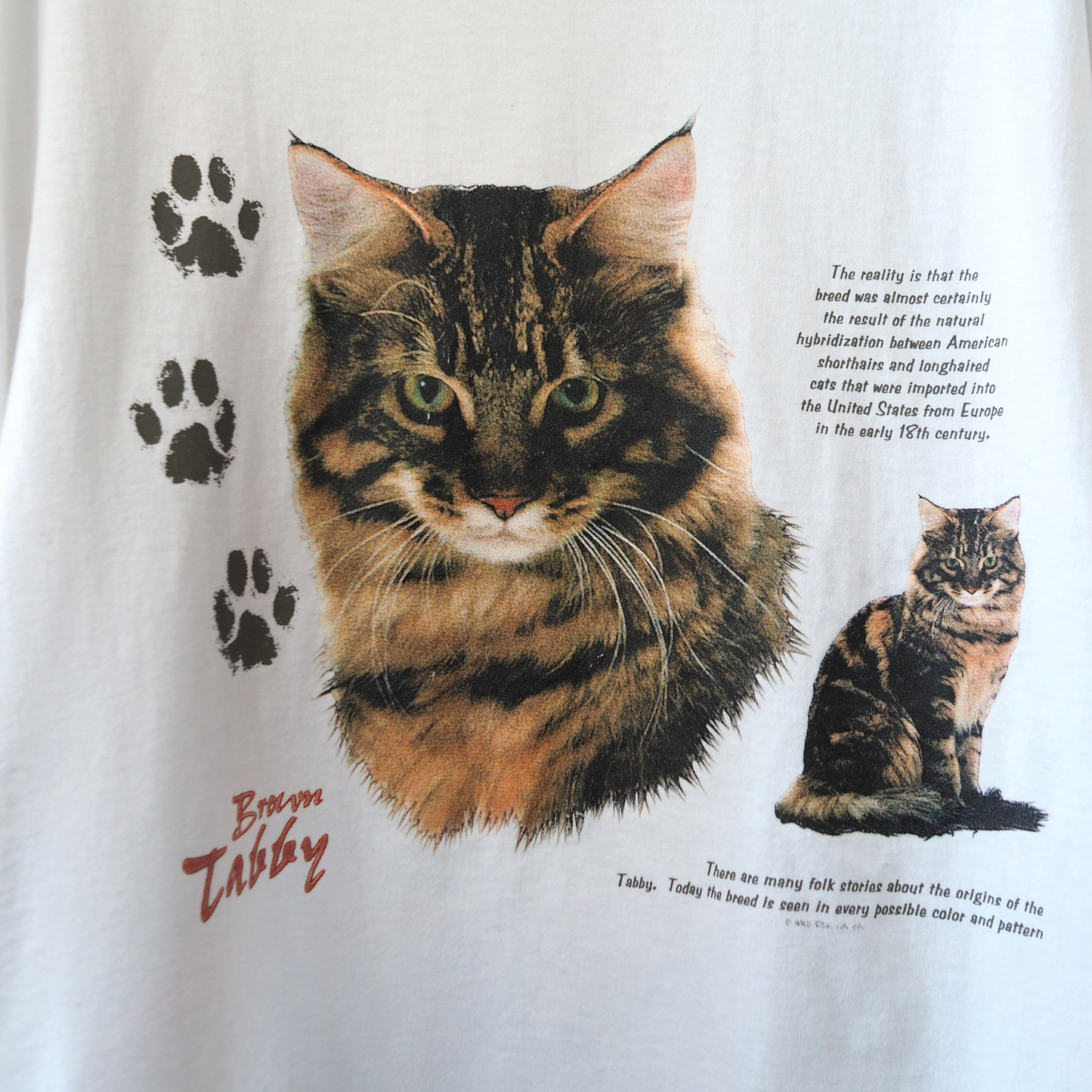 Brown Tabby Tee / 90s-
