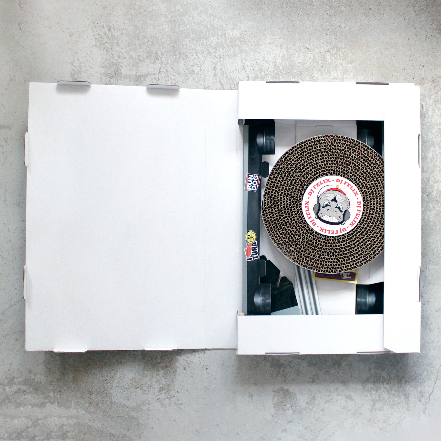 Cat DJ Scratching Deck