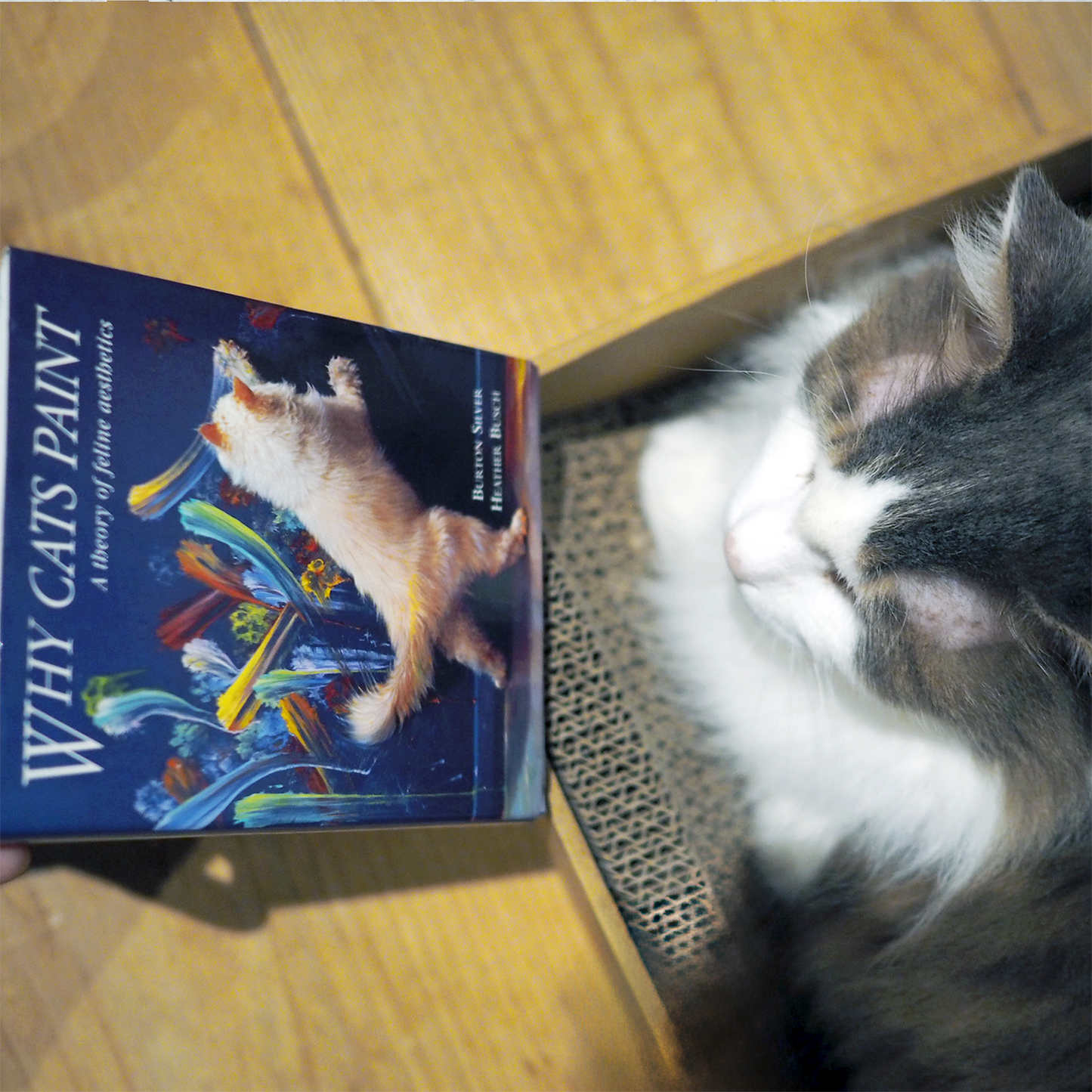 Why Cats Paint (2006) ※ ポケット版