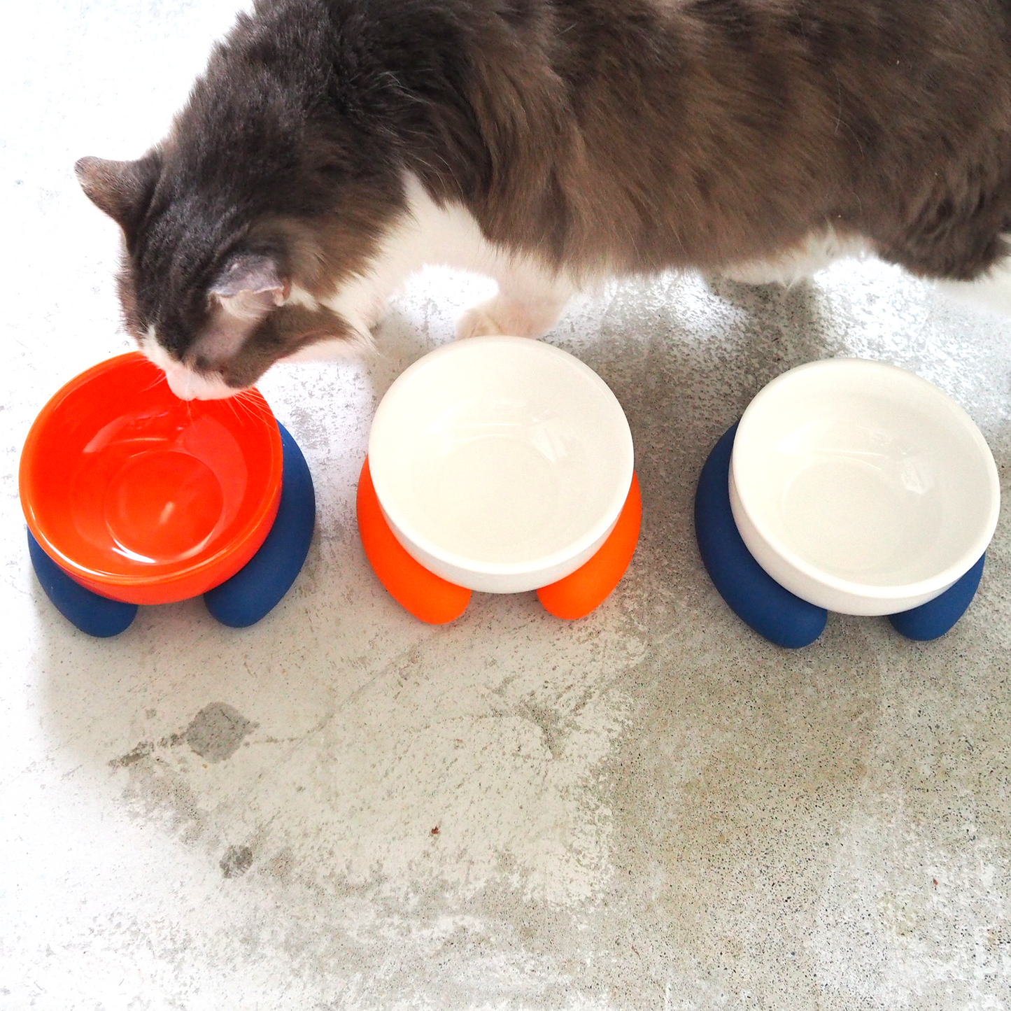 Ceramic Silicone Cat Bowl