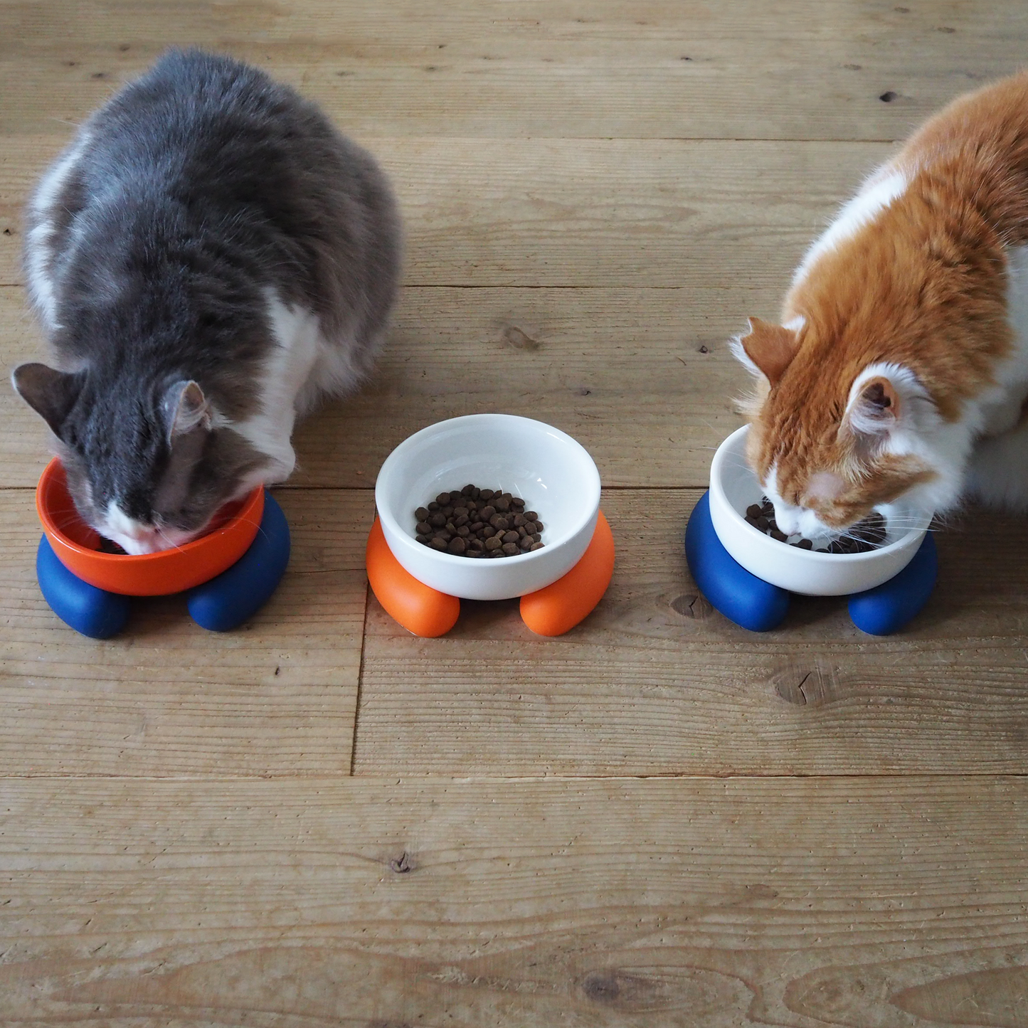 Ceramic Silicone Cat Bowl