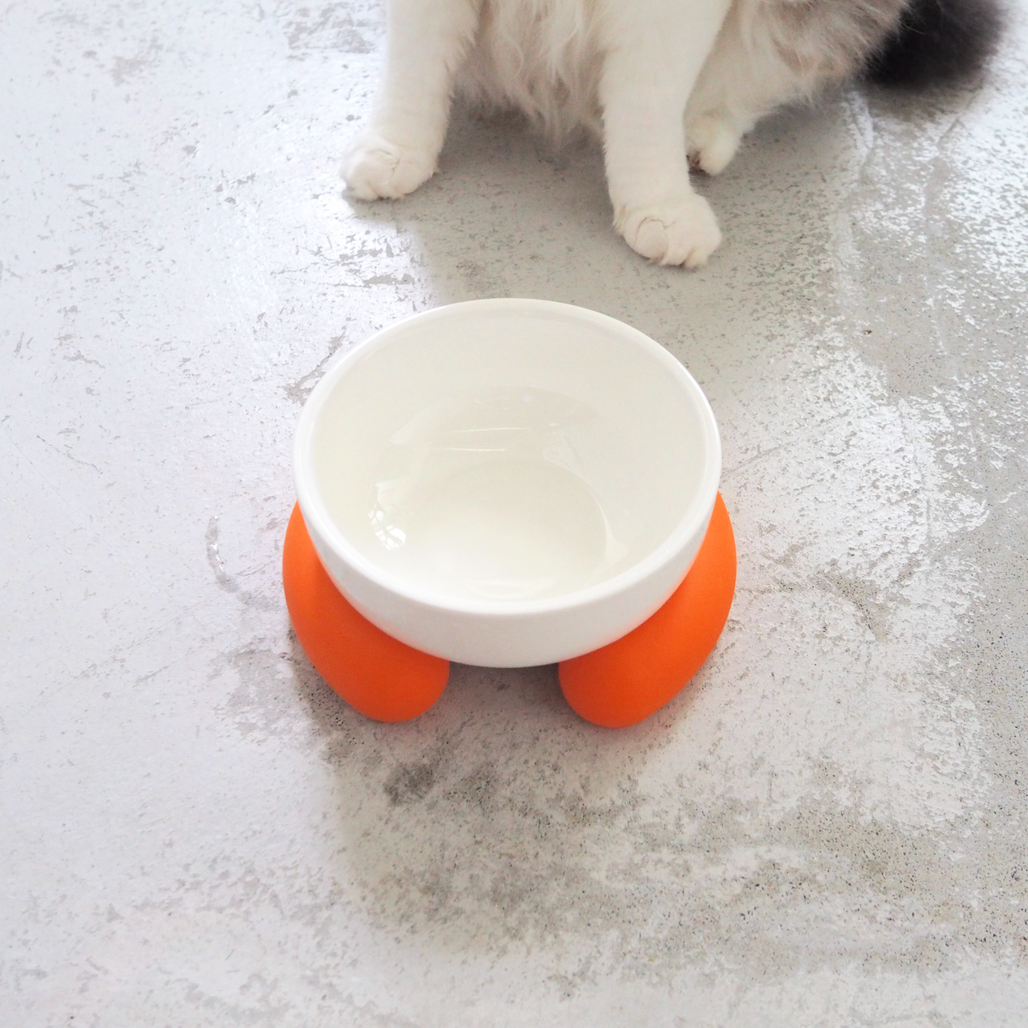 Ceramic Silicone Cat Bowl