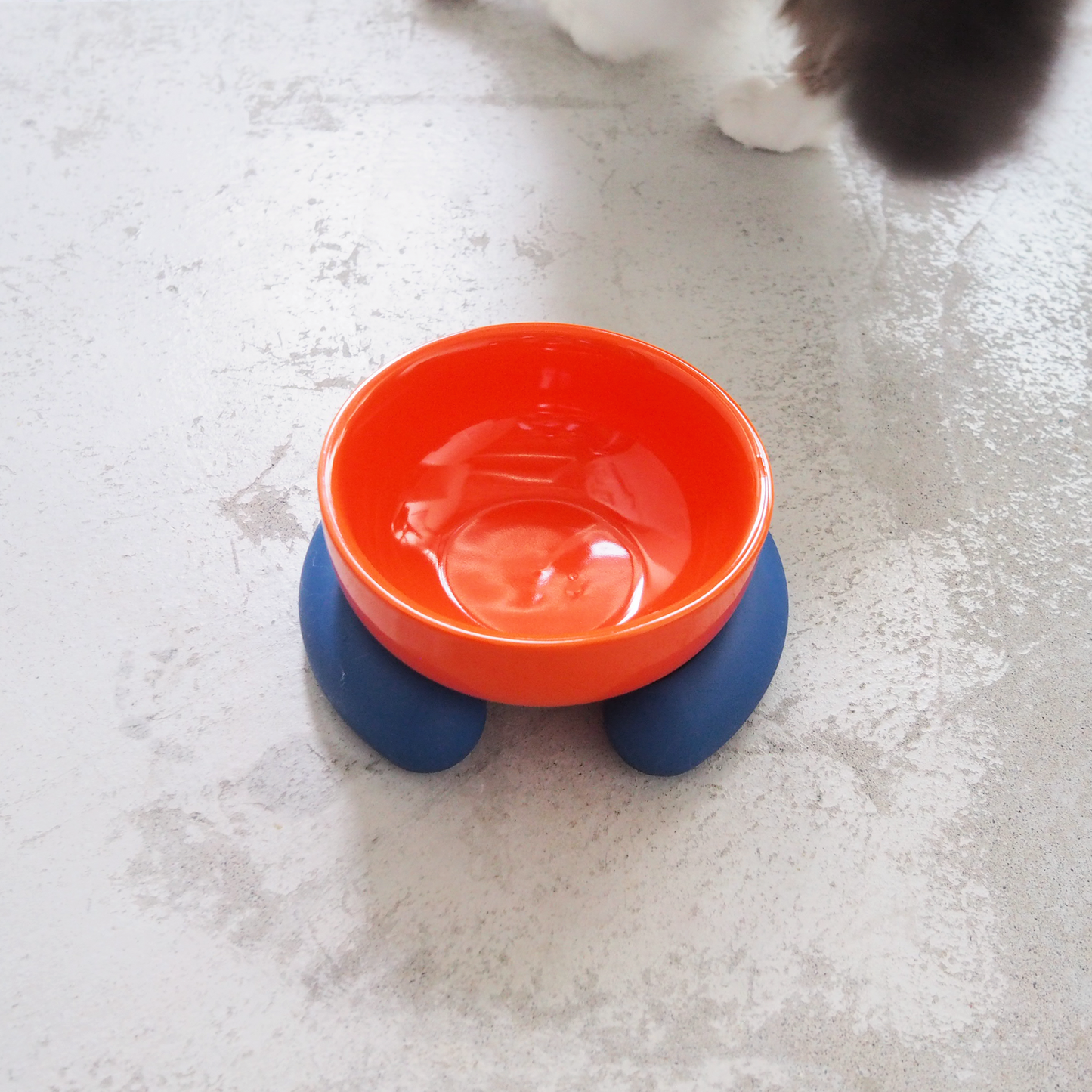 Ceramic Silicone Cat Bowl