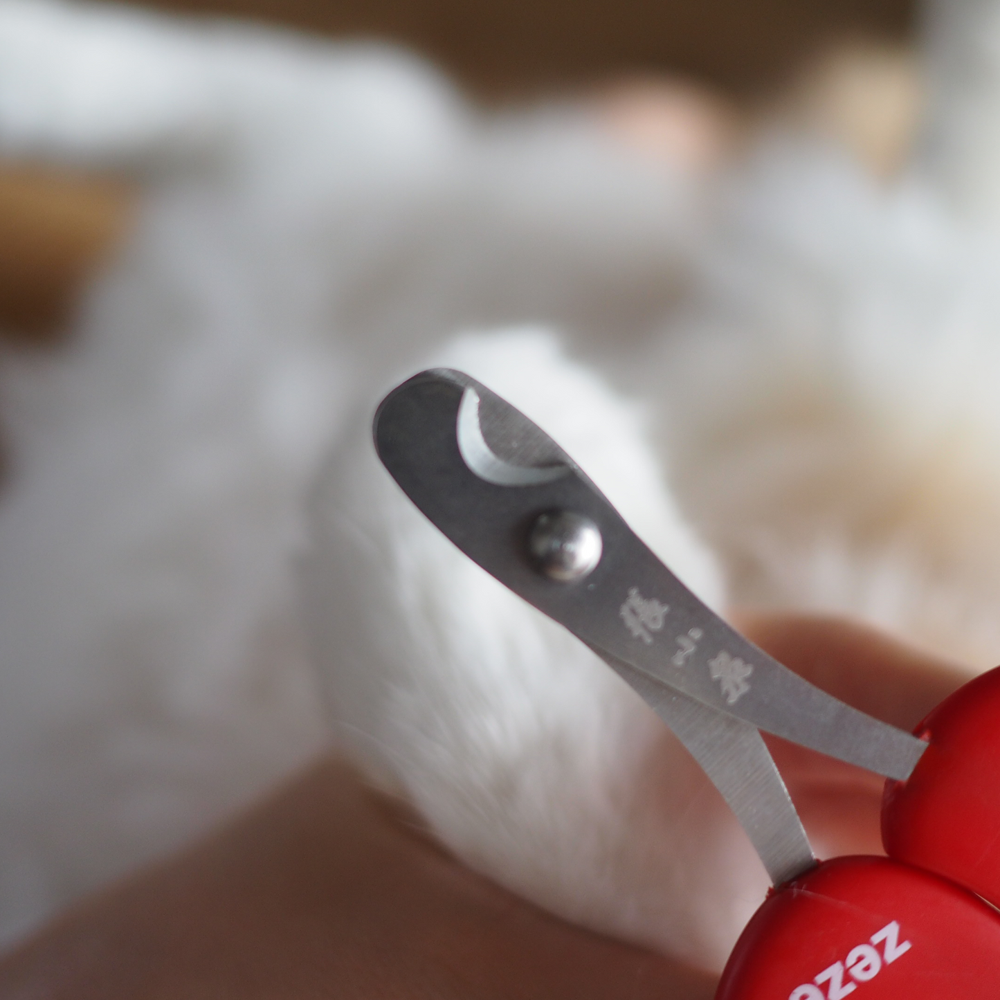 Tulip Nail Clipper