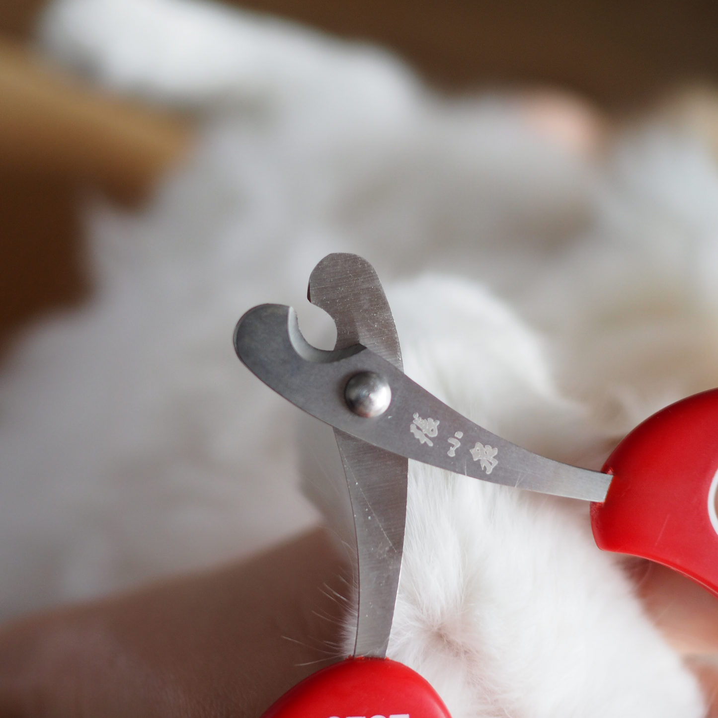Tulip Nail Clipper