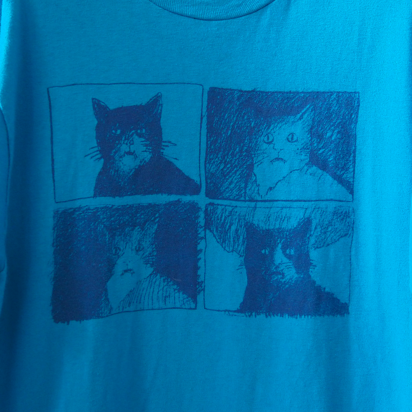 UCD Zoology Tee / 90s / Made in USA