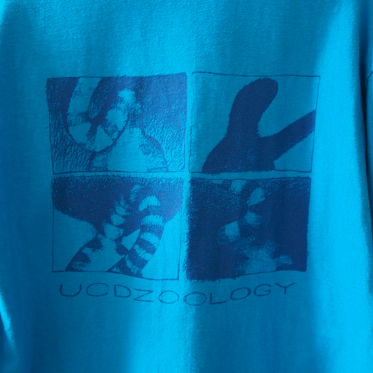 UCD Zoology Tee / 90s / Made in USA