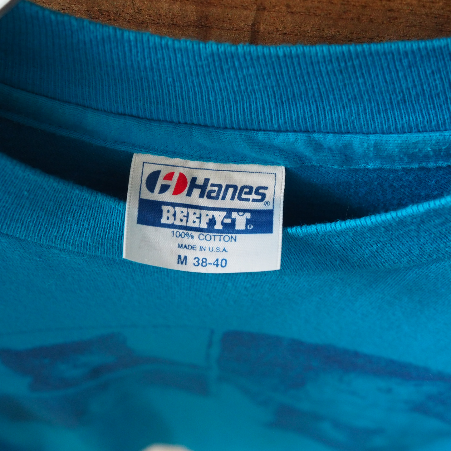 UCD Zoology Tee / 90s / Made in USA