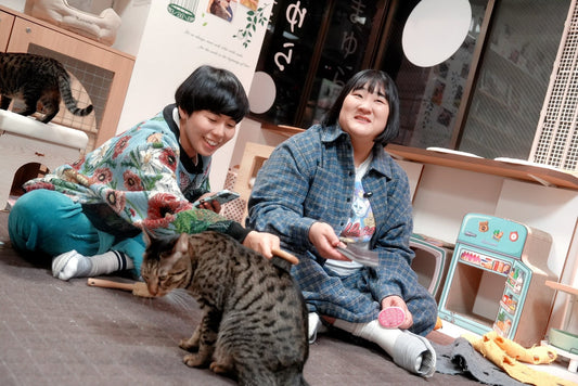 ネコ専用ライブ配信アプリ『nekochan』×ヨネダ2000さんの配信に衣装協力しました