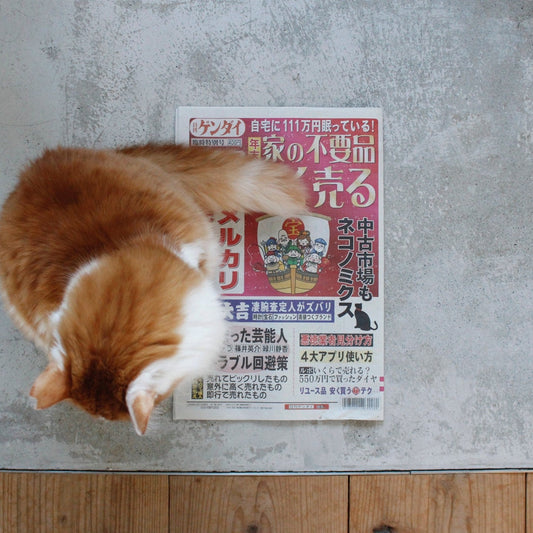 日刊ゲンダイ臨時特別号「家の不要品 高く売る」に掲載いただきました