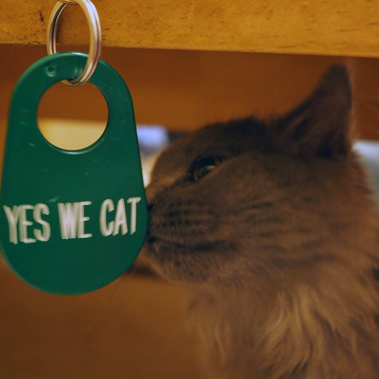 "YES WE CAT"キーホルダー