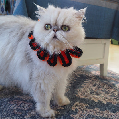 Halloween Paracord & Knit Collar🎃