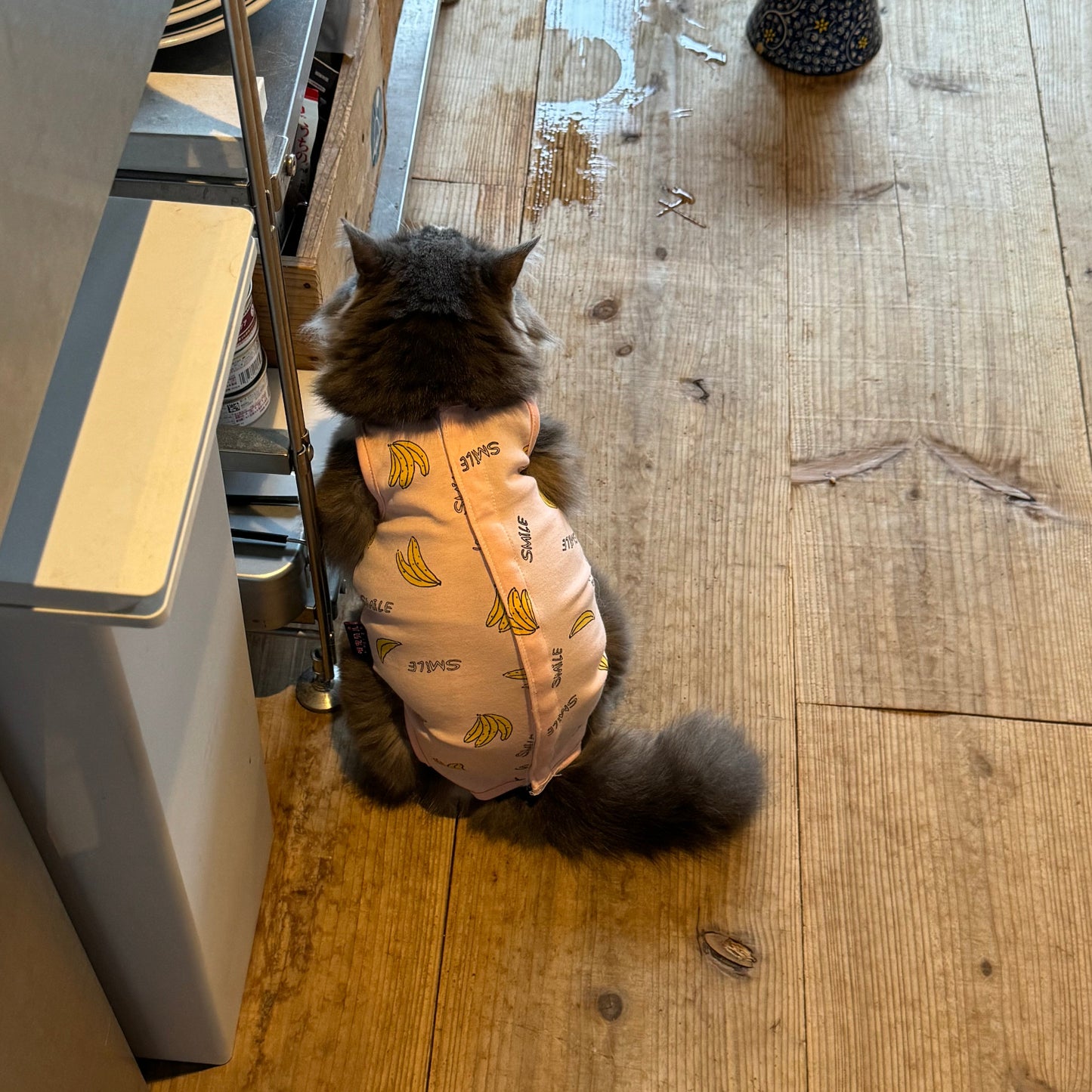 ふくちゃん術後服ステッカー