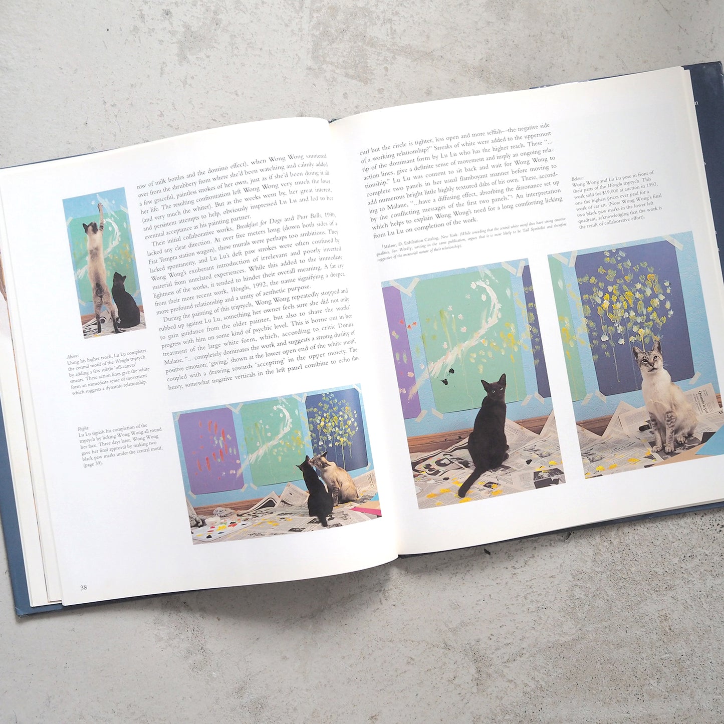 Why Cats Paint: A Theory of Feline Aesthetics (1994)