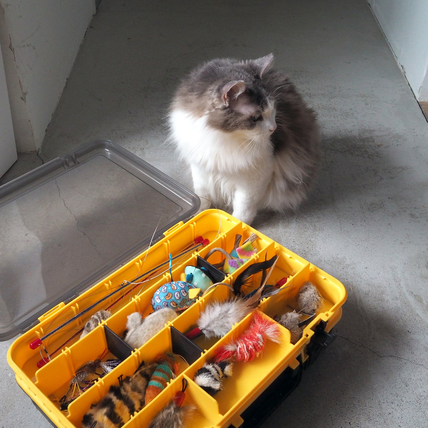 CAT GEAR BOX