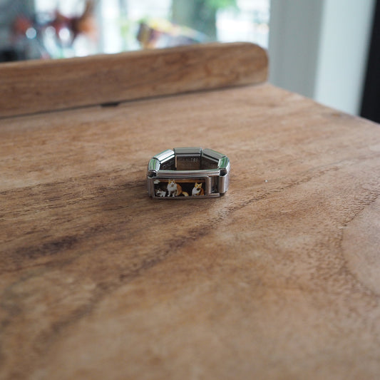 My Cats Italian Charm Ring
