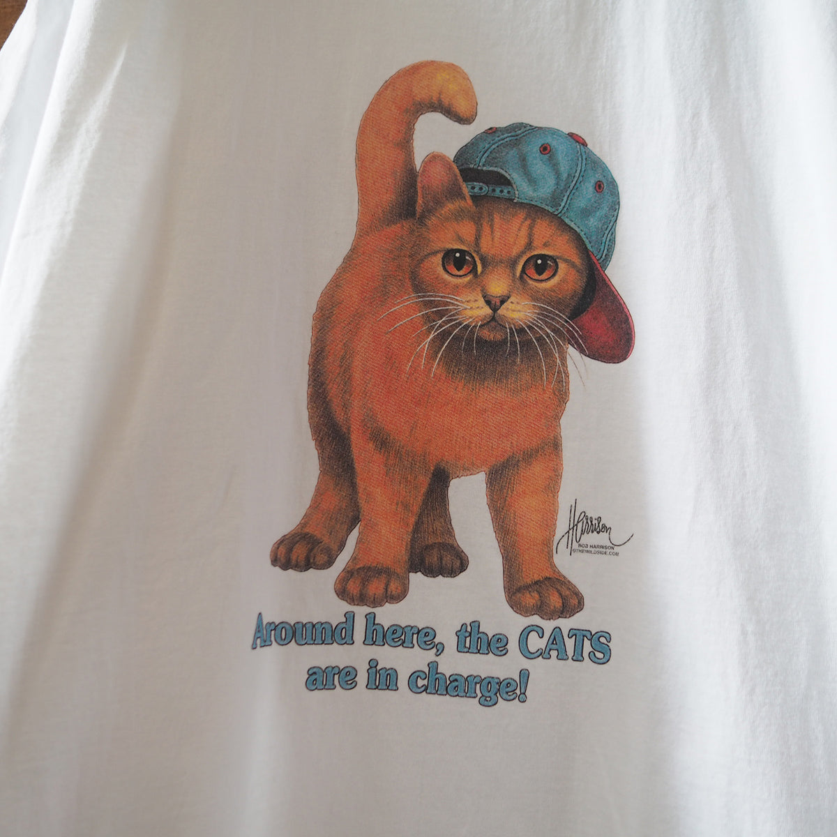 Bob Harrison the Cats are in Charge Tee / 90s / Made in USA