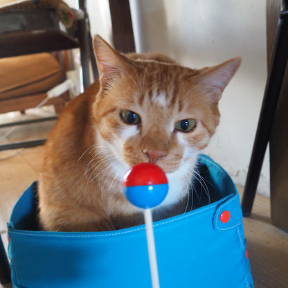 Pop ‘n Purr Lollipop