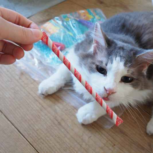 Silly Stix