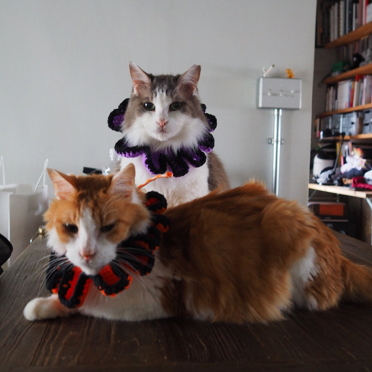 Halloween Paracord & Knit Collar🎃