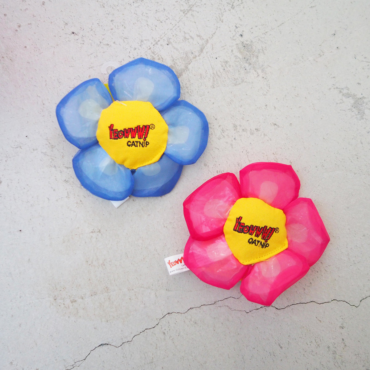 Daisy's Flower Tops