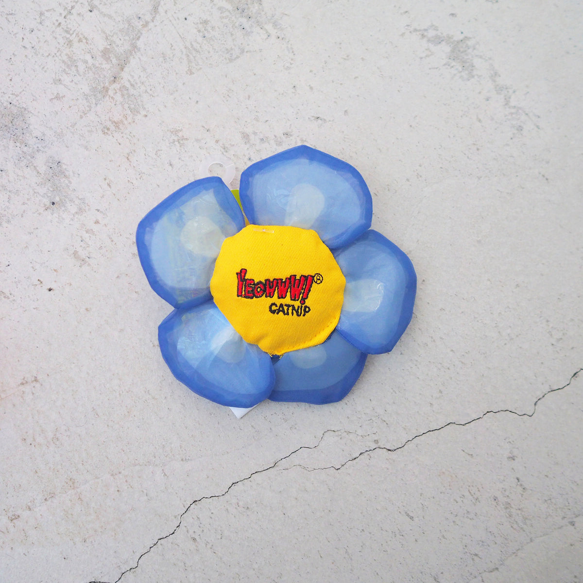Daisy's Flower Tops