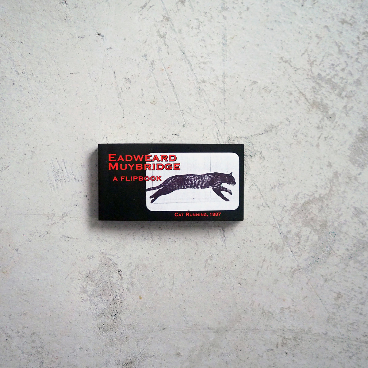 Muybridge Cat Flipbook (2014)
