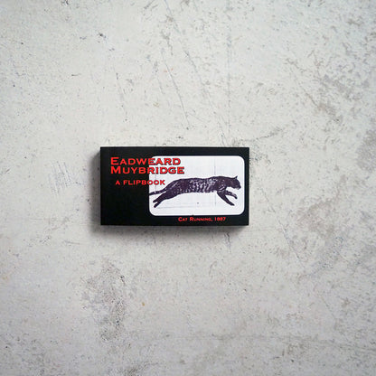 Muybridge Cat Flipbook (2014)