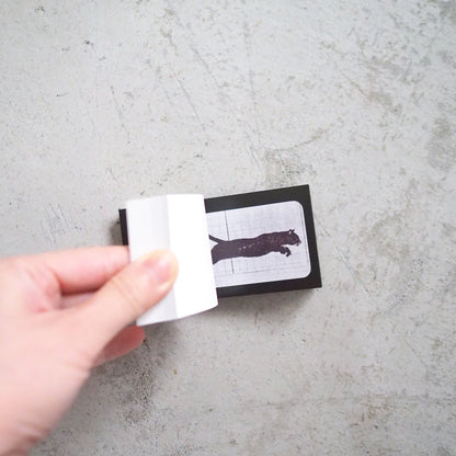 Muybridge Cat Flipbook (2014)