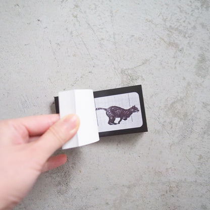 Muybridge Cat Flipbook (2014)