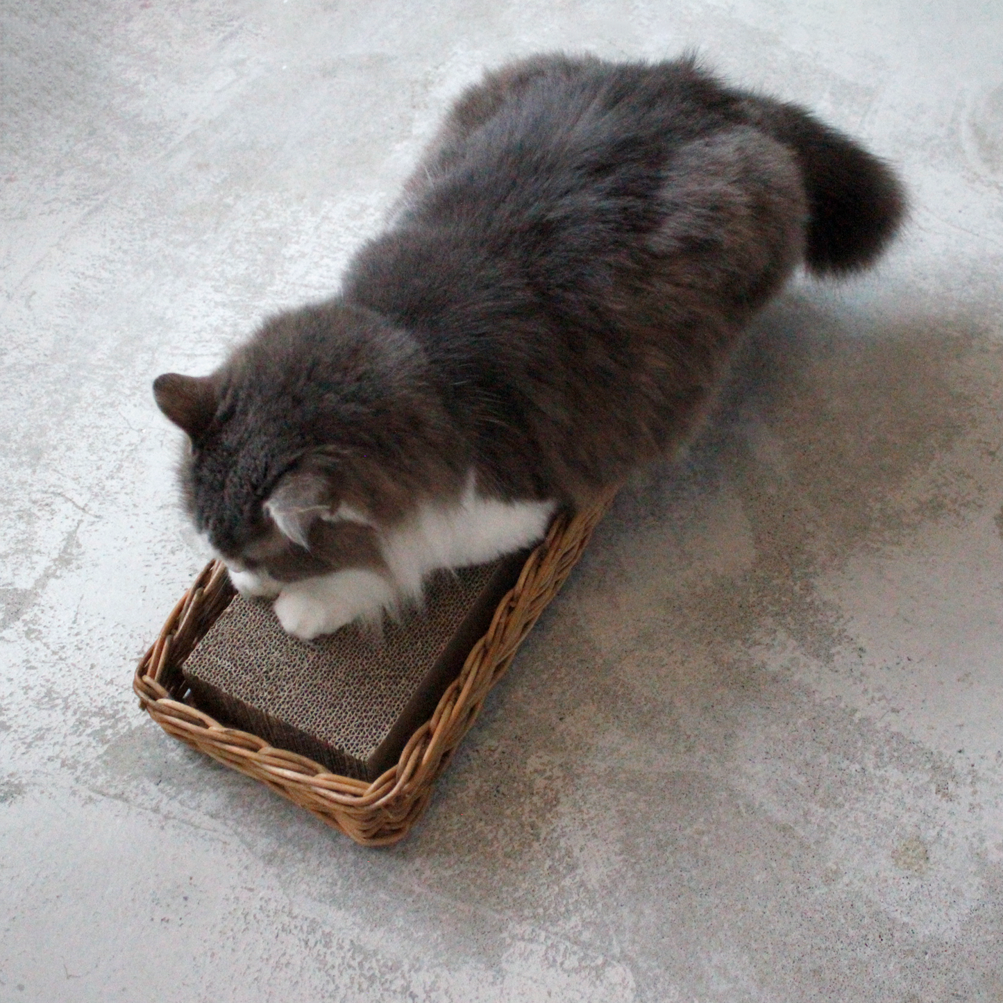 AROROG CAT SCRATCHER BOX（爪とぎセット）