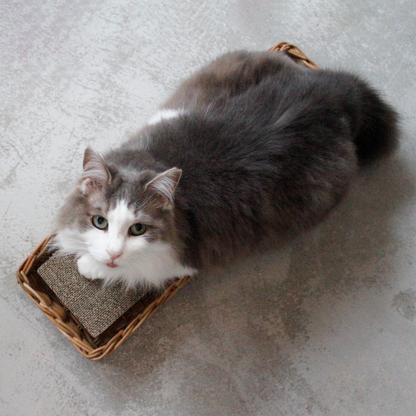 AROROG CAT SCRATCHER BOX（爪とぎセット）