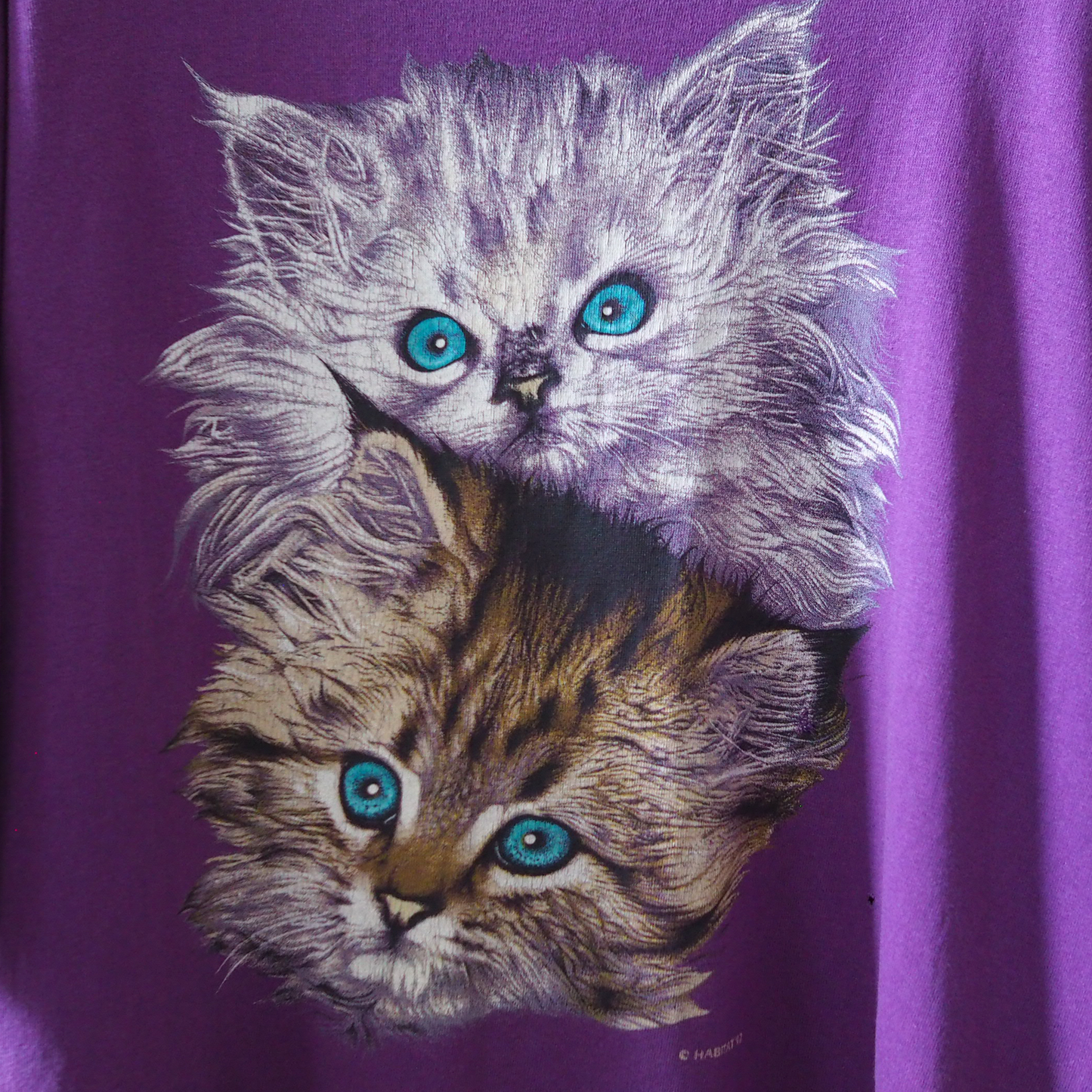 Kitten Brothers Portrait Tee / 90s / Made in USA