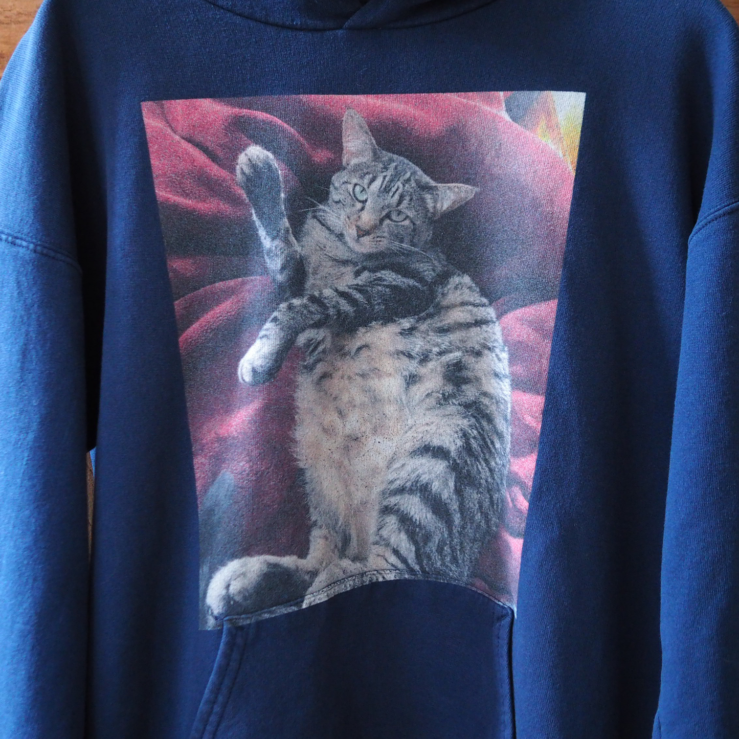 Brown Tabby Hoodie / 90s