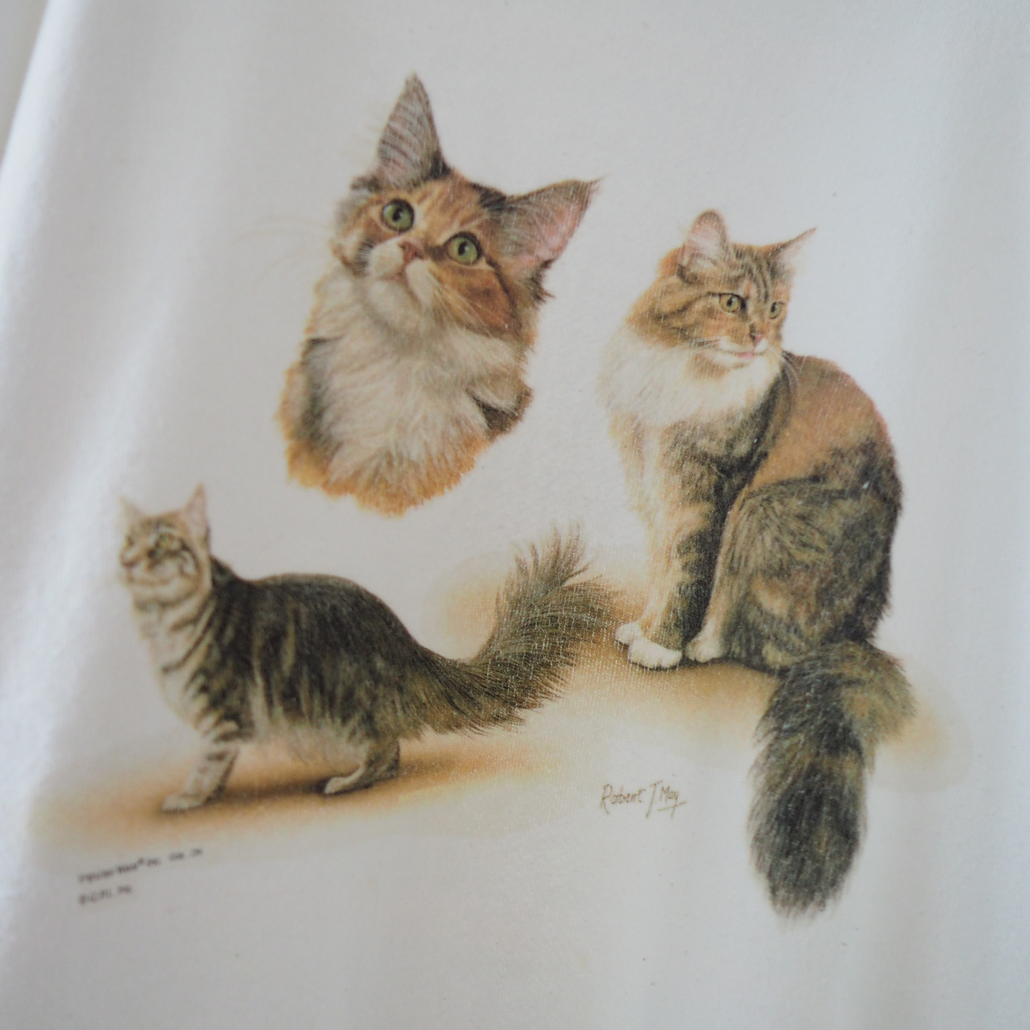 Maine Coon Sweat / 90s / Made in USA