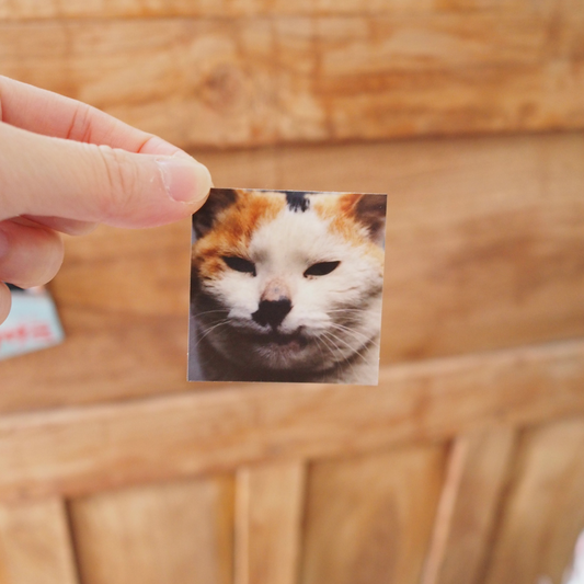 【あっちでちょのん、こっちでぶさみ展】ぶさみステッカー