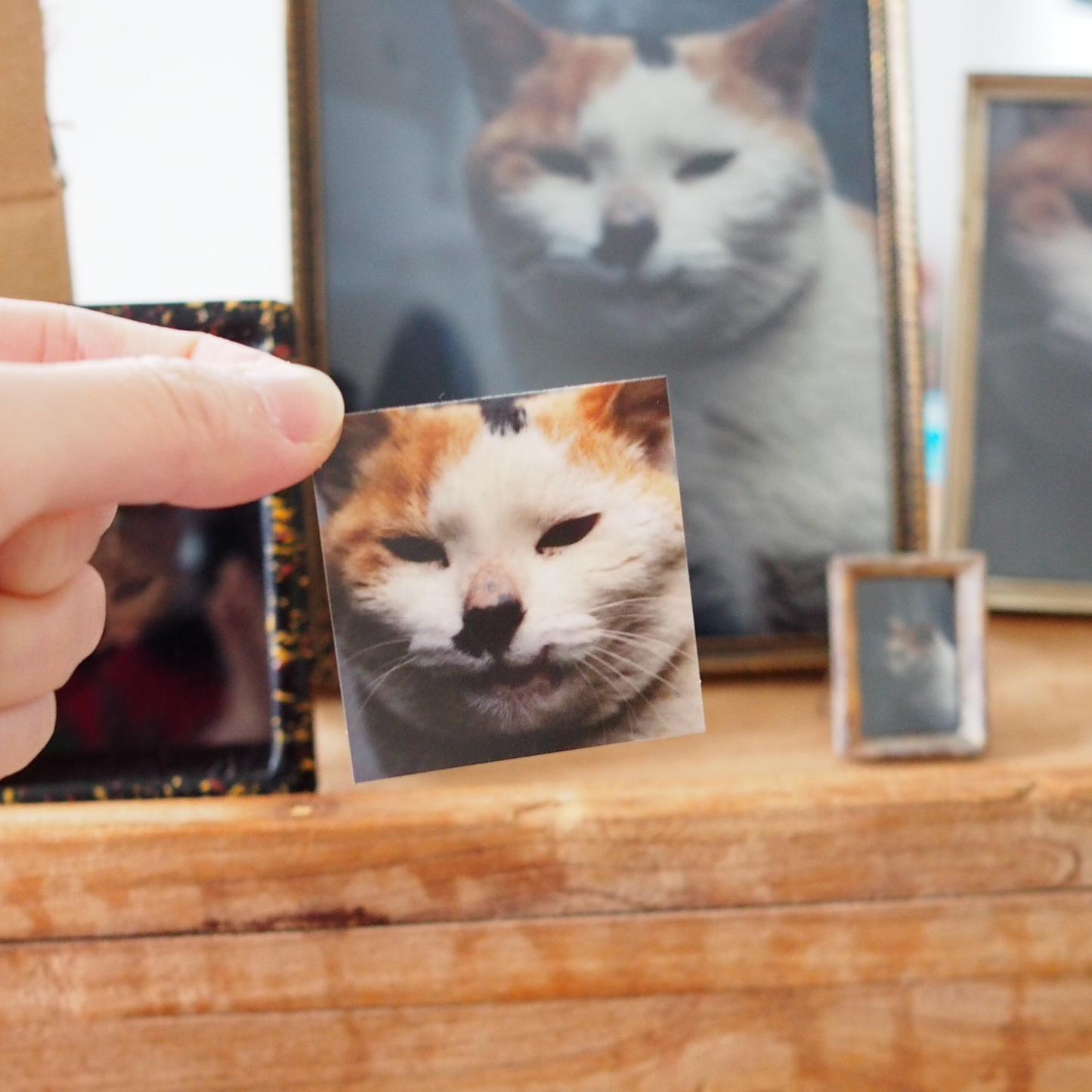 【あっちでちょのん、こっちでぶさみ展】ぶさみステッカー