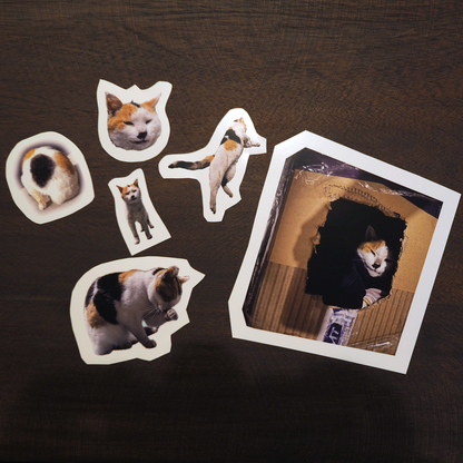 なくしたものは なんだっけ