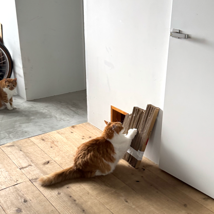 Cardboard Scratch Cutter
