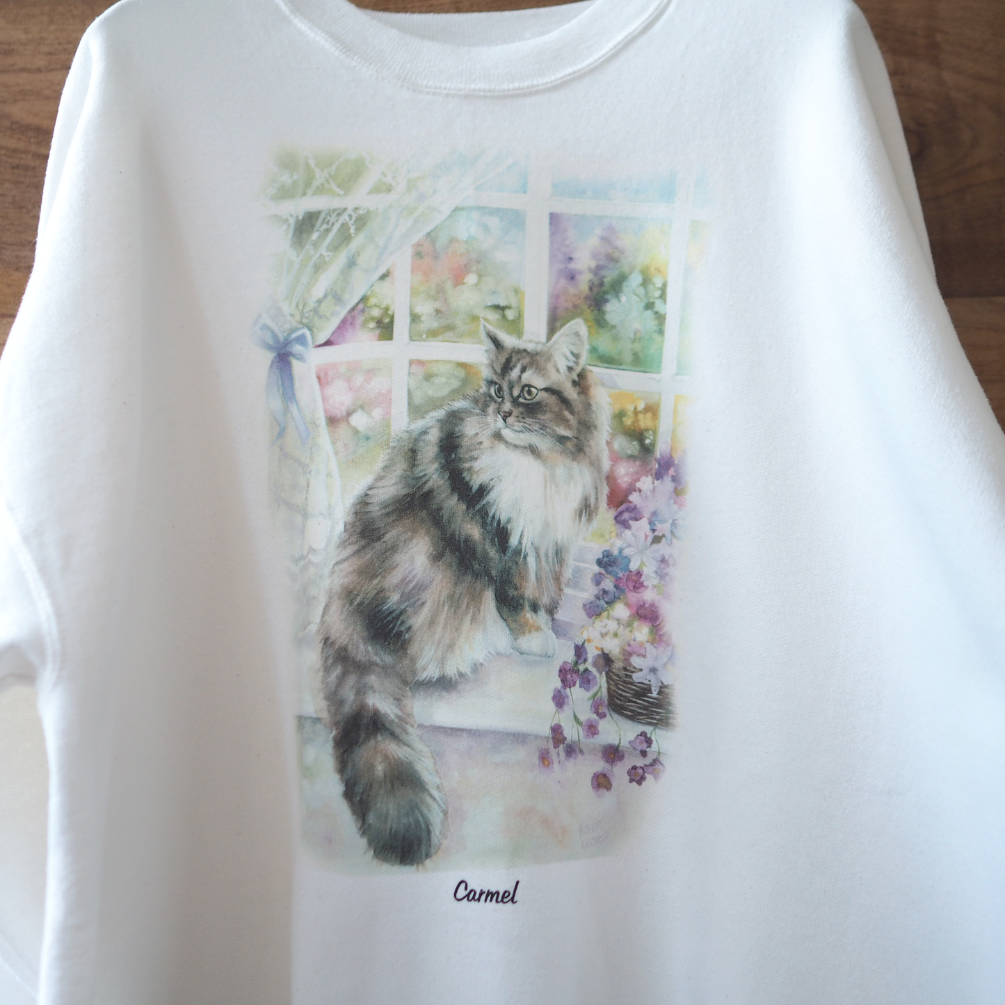Dreamy Window-side Cat Sweatshirt / 90s
