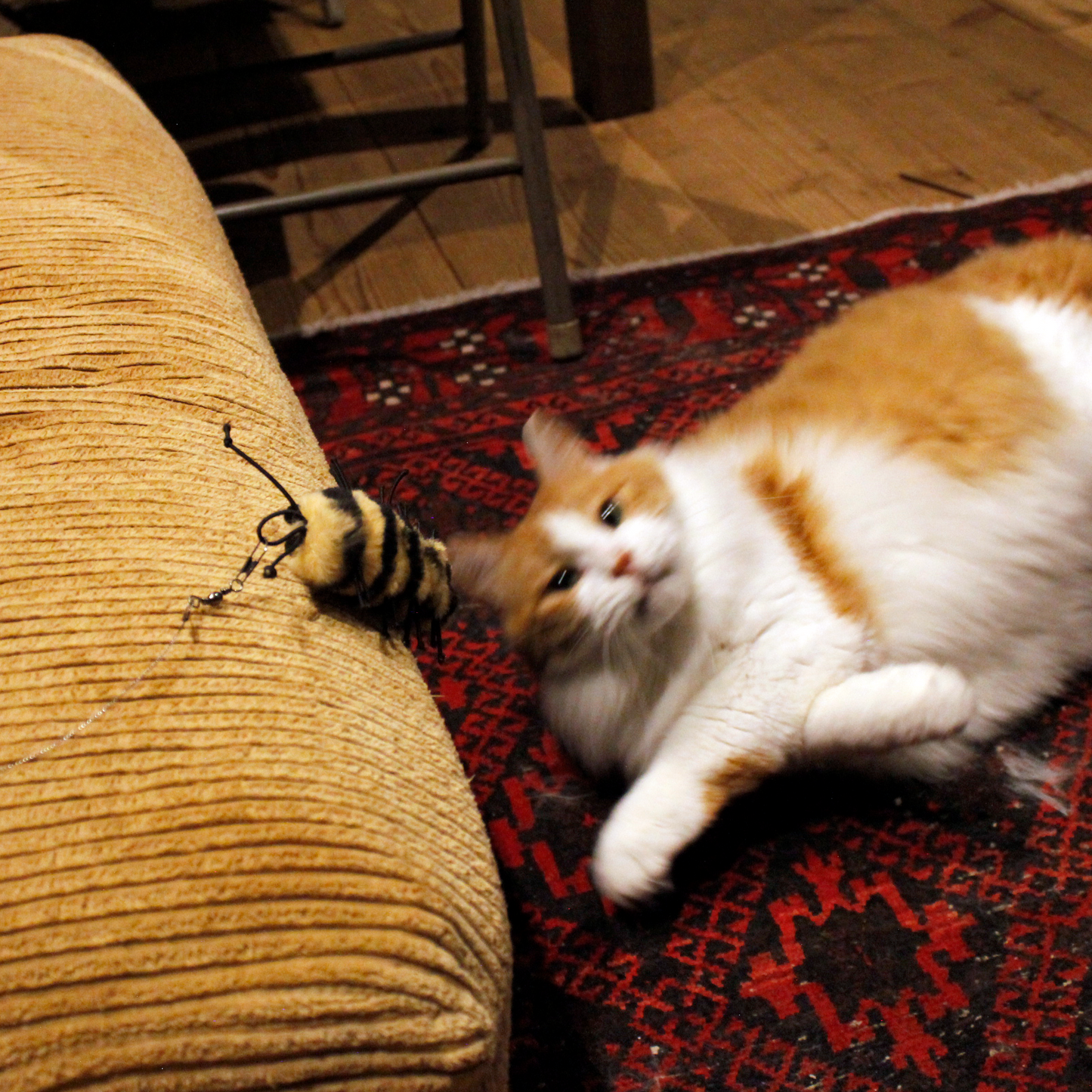 [ Refill ] Da Cat-A-Pilla