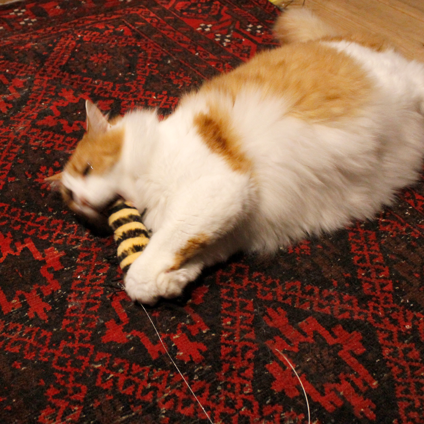 [ Refill ] Da Cat-A-Pilla