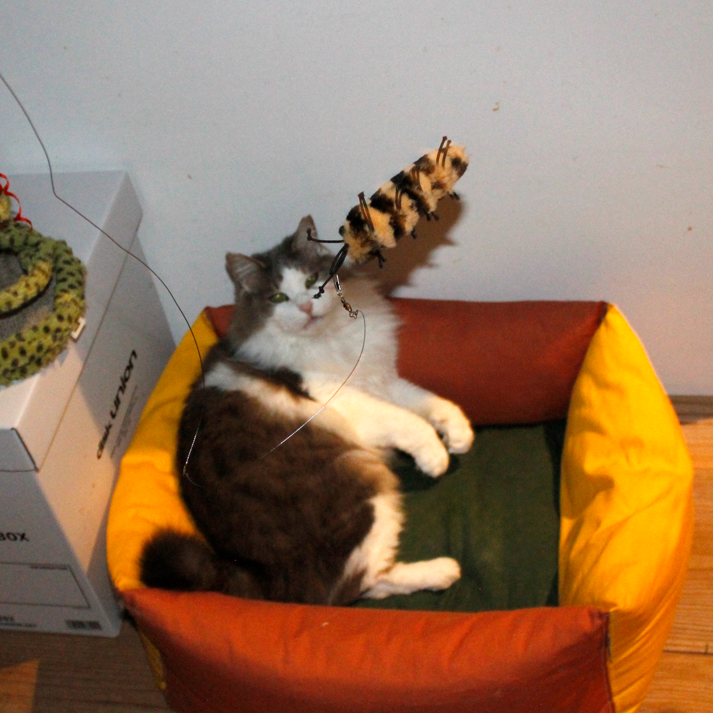 [ Refill ] Da Cat-A-Pilla