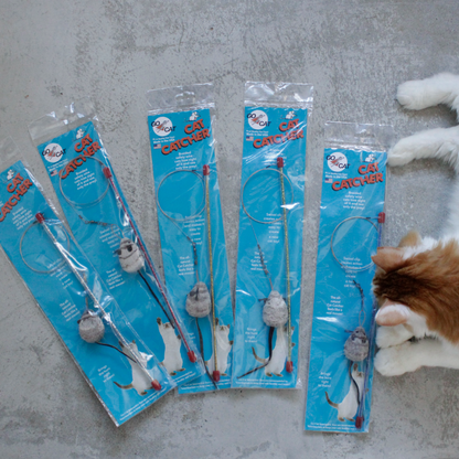 Cat Catcher
