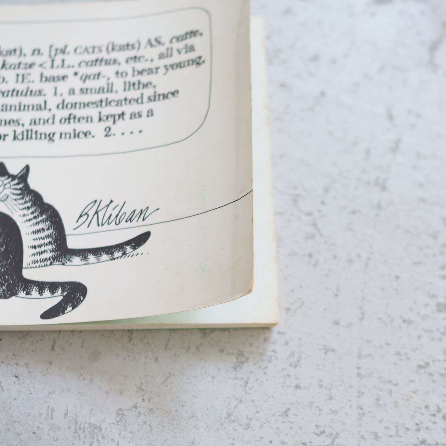 Cat (1976) / Softcover / Vintage Book