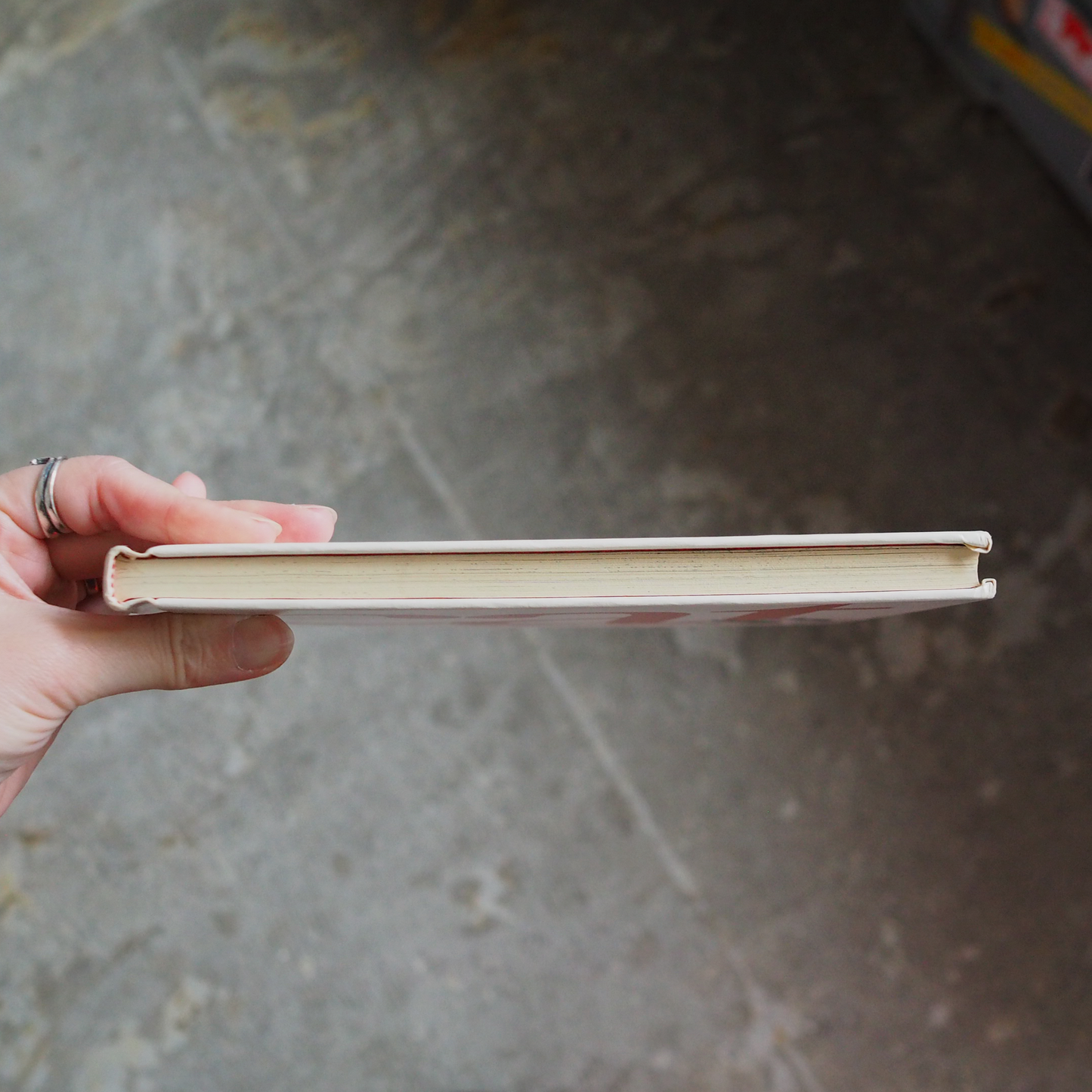 Cat (1976) / Hardcover / Vintage Book