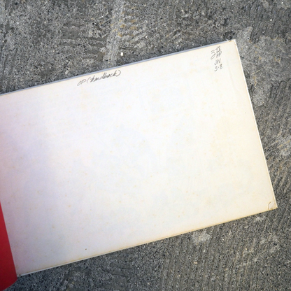 Cat (1976) / Hardcover