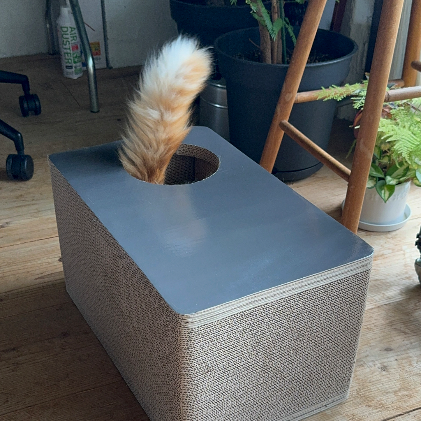 【在庫限りで生産終了】CAT BOX