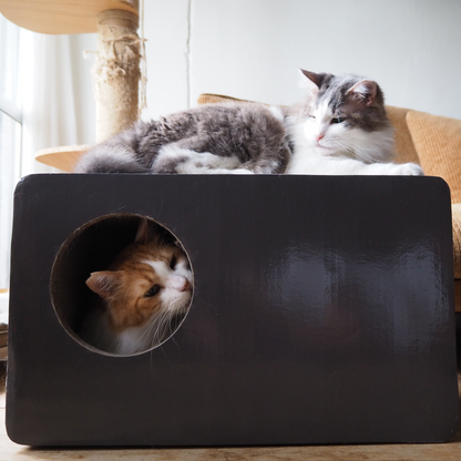 【在庫限りで生産終了】CAT BOX