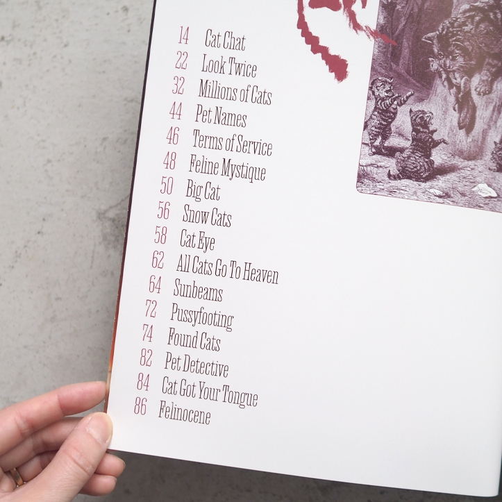 Catnip Magazine（キャットニップマガジン）Vol.2 / Broccoli Magazine